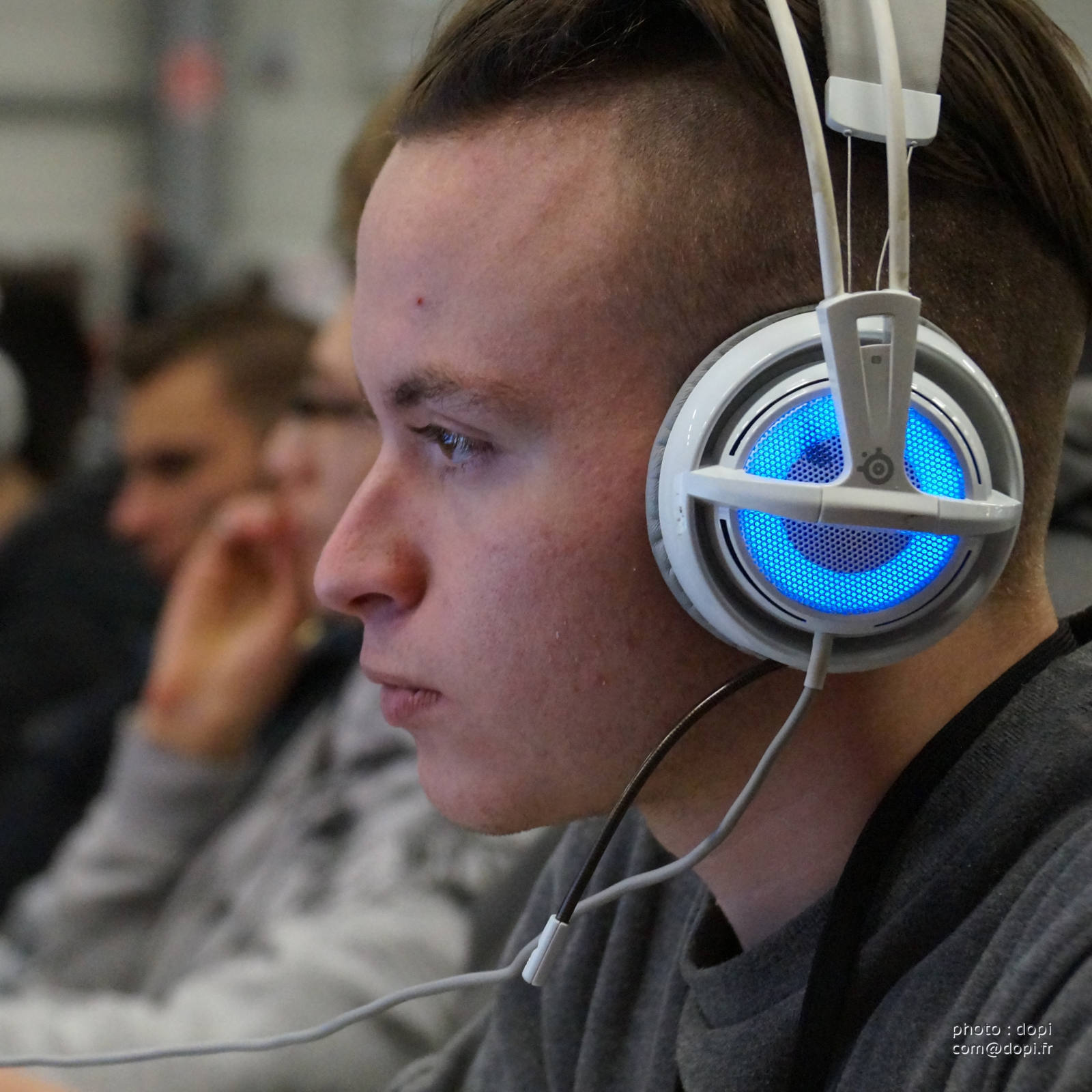 00005 jpegDSC01852,medium large.2x.1480336731